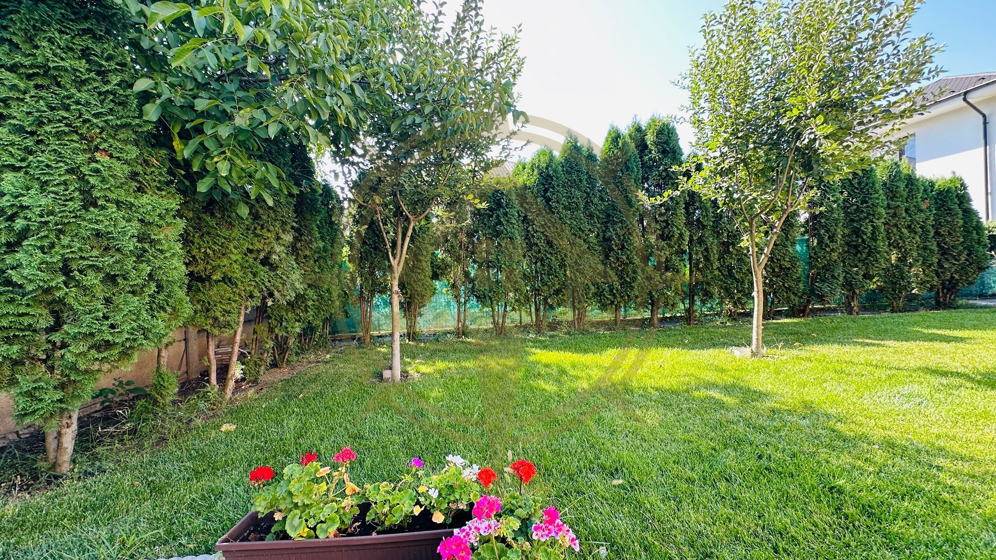 DOM00301 - Vila individuala de vanzare langa padure teren 720 mp