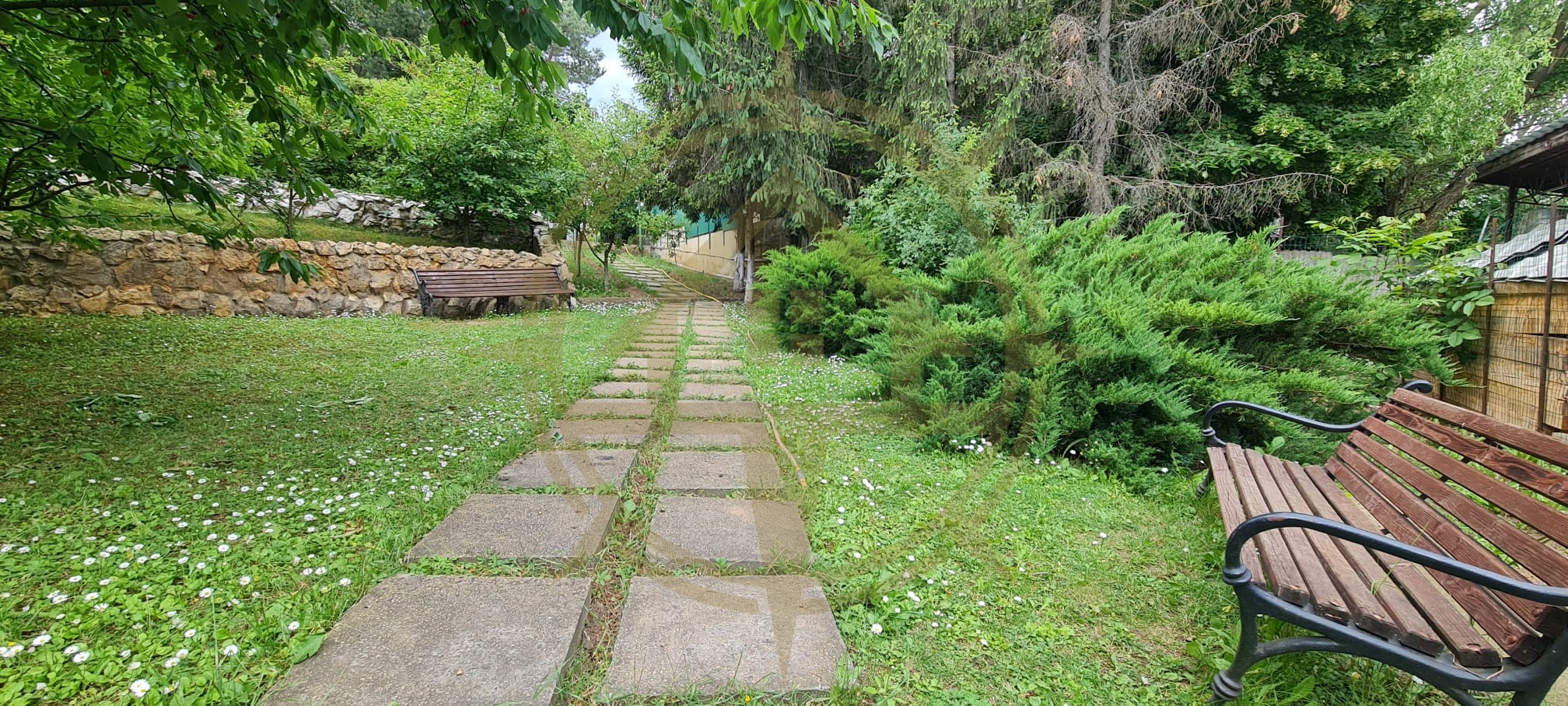 DOM00443 - Vila  la lac cu ponton si piscina Snagov