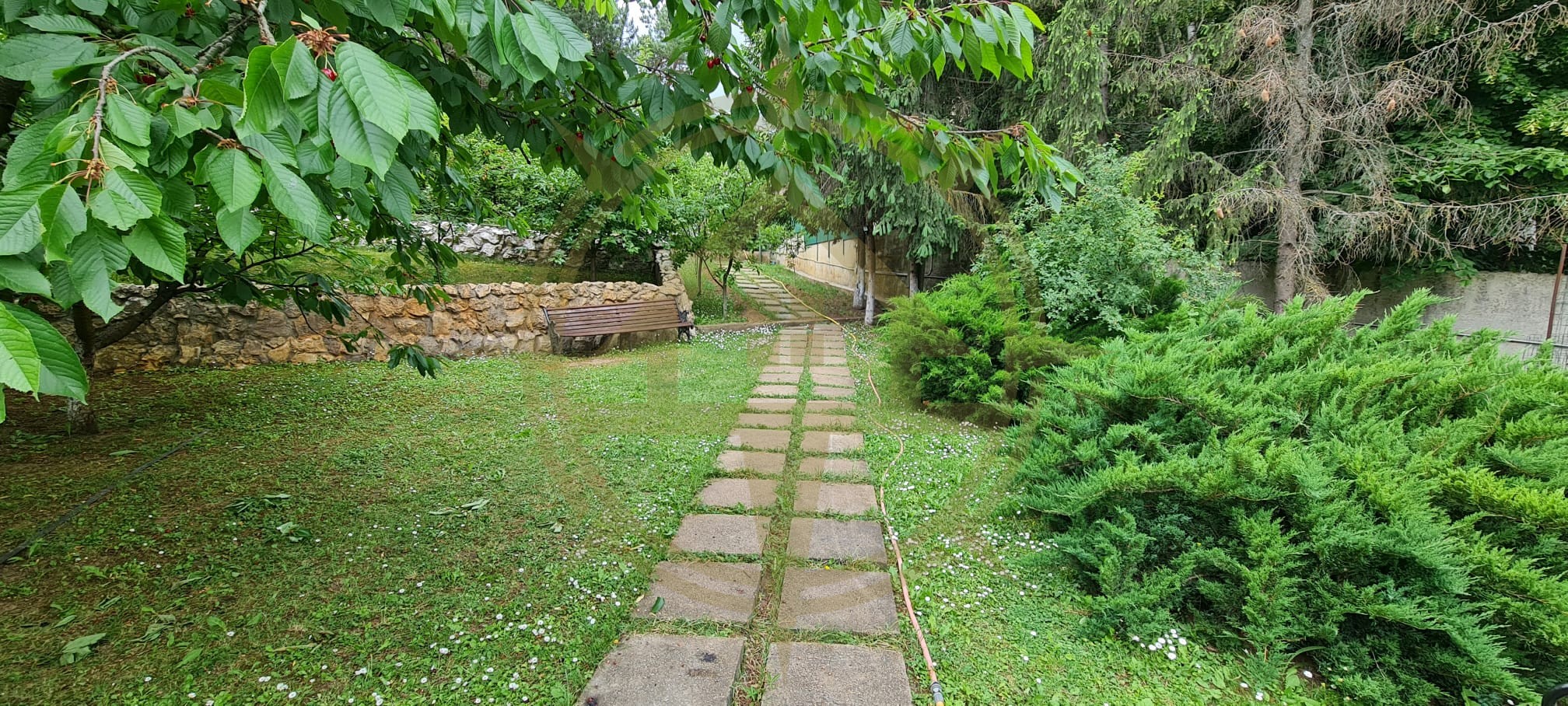 DOM00443 - Vila  la lac cu ponton si piscina Snagov