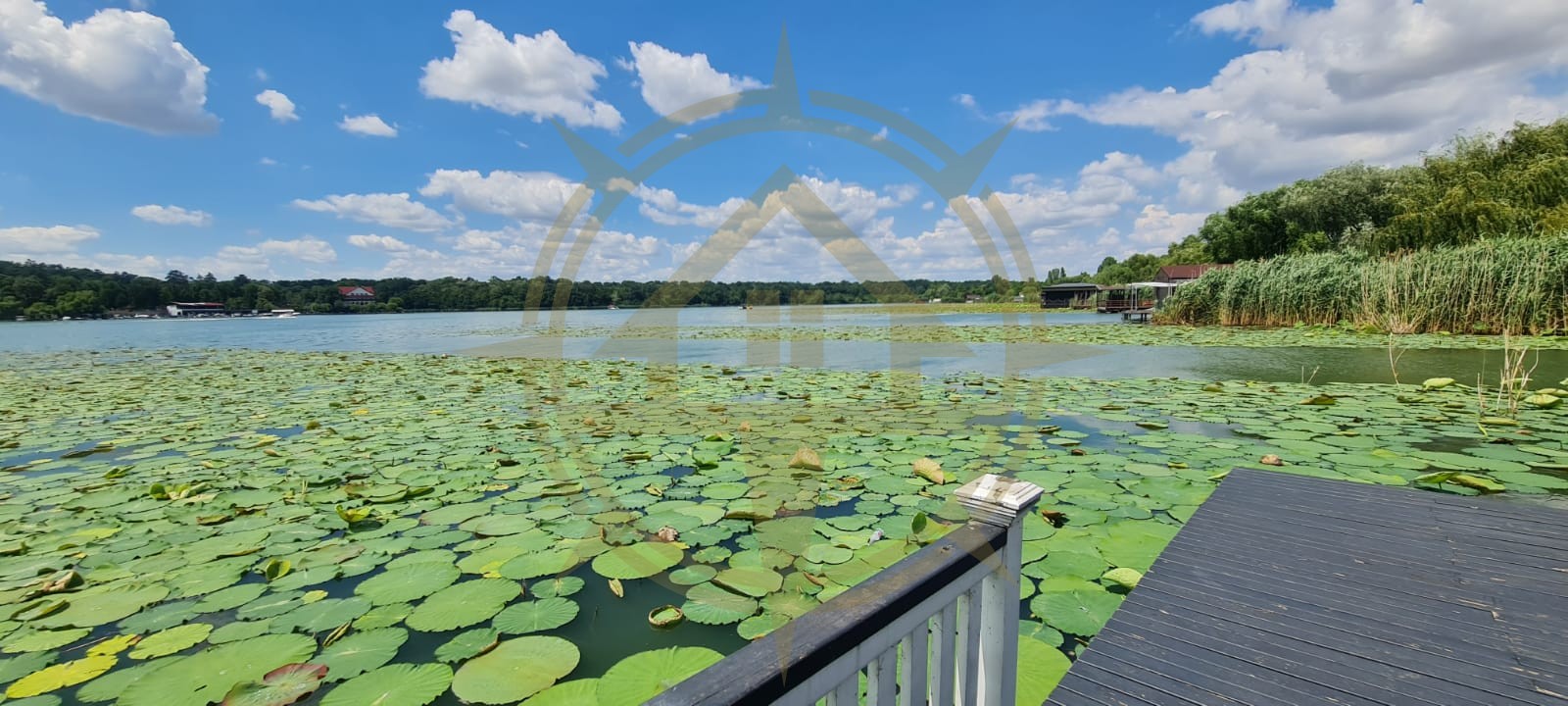 DOM00445 - Vila de poveste la lac cu ponton in Snagov